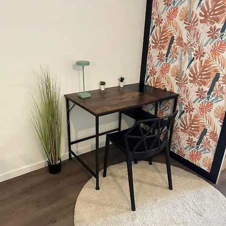 Bleuet Centre-ville -parking & Clim Appartement *