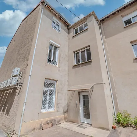 Bleuet Centre-ville -parking & Clim Appartement Roanne